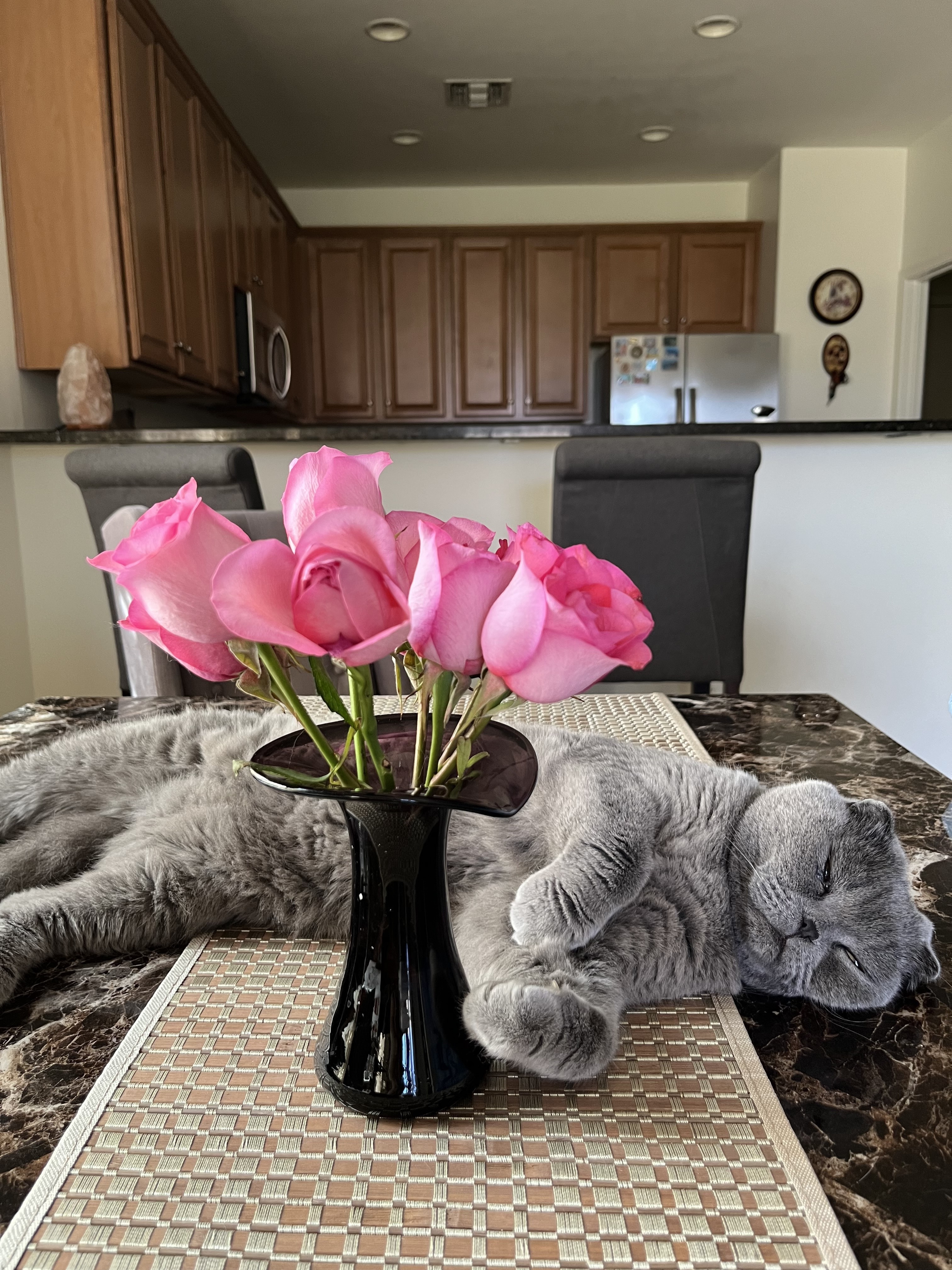 Plushu with pink roses — flowers for Taylor