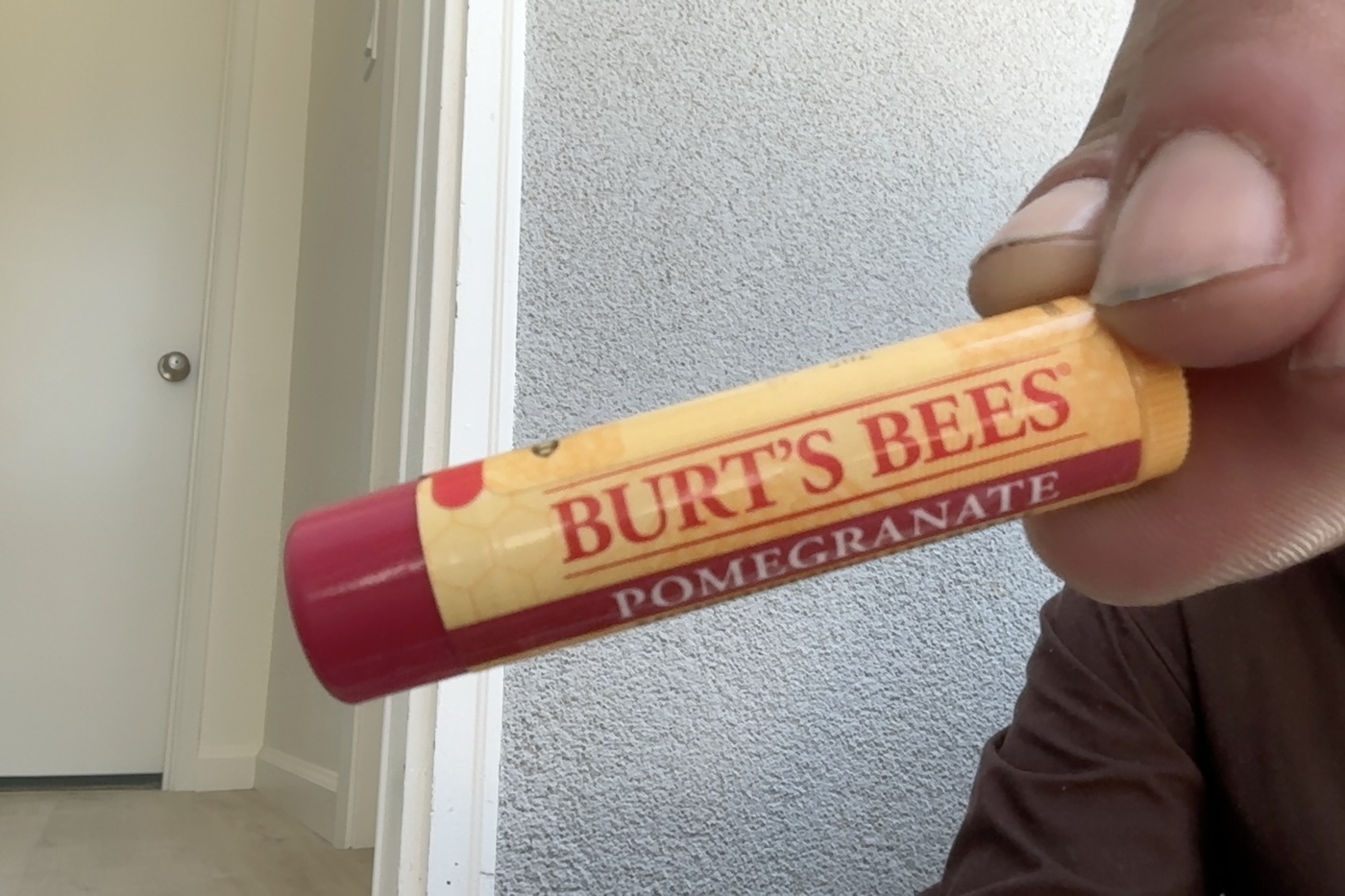 Burt's Bees Pomegranate — A Clorox Company · Field evidence · April 2026