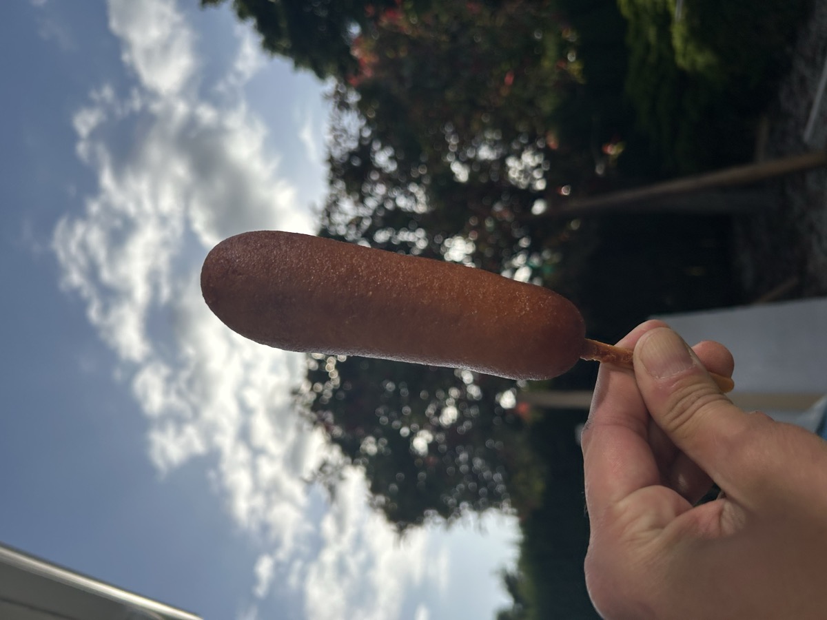 Corndog against the sky — field documentation — 925