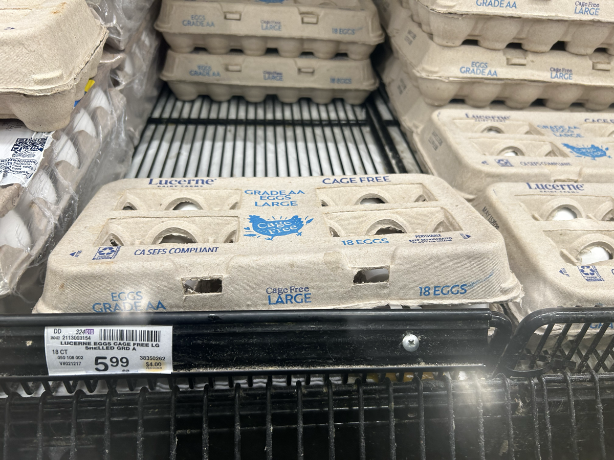 Field Logic 1.0.0 — Lucerne Cage Free