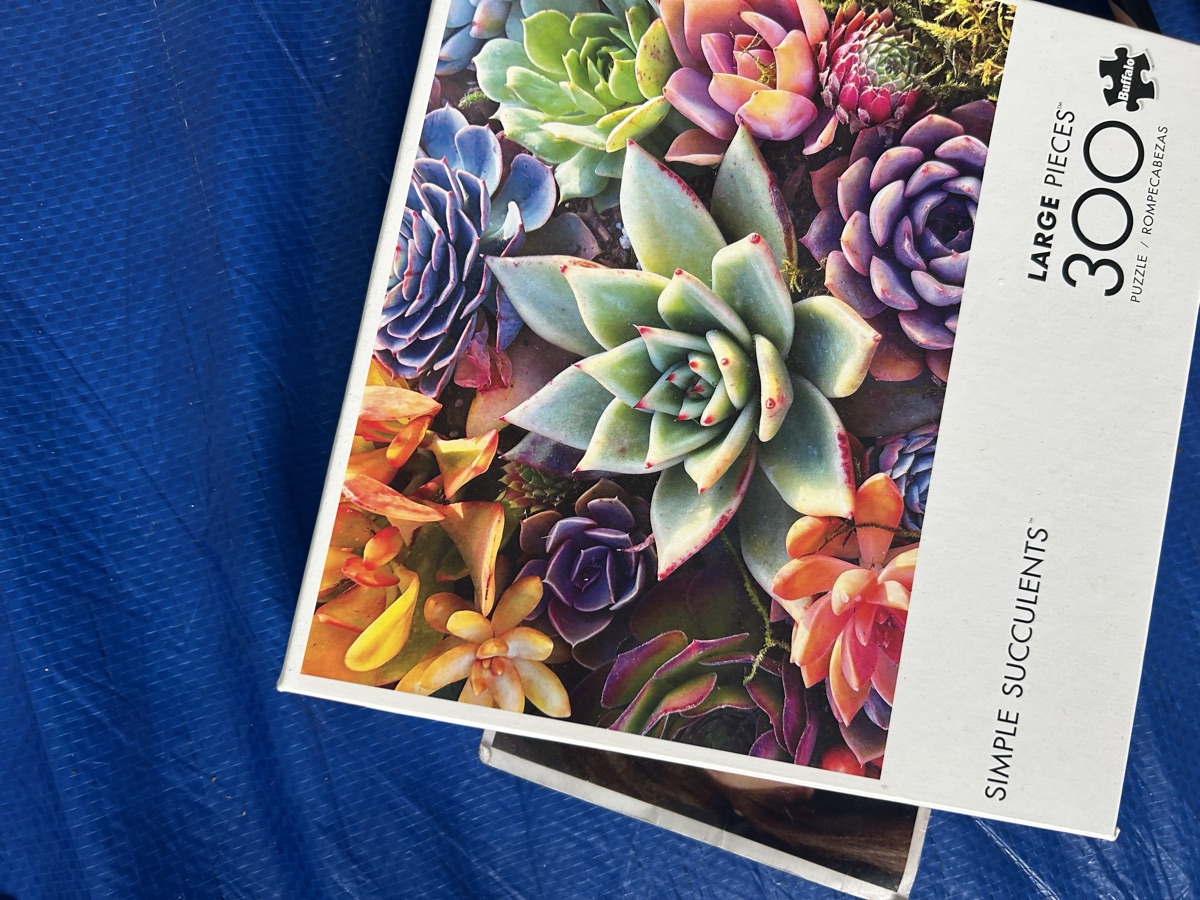 Simple Succulents — 300 piece puzzle