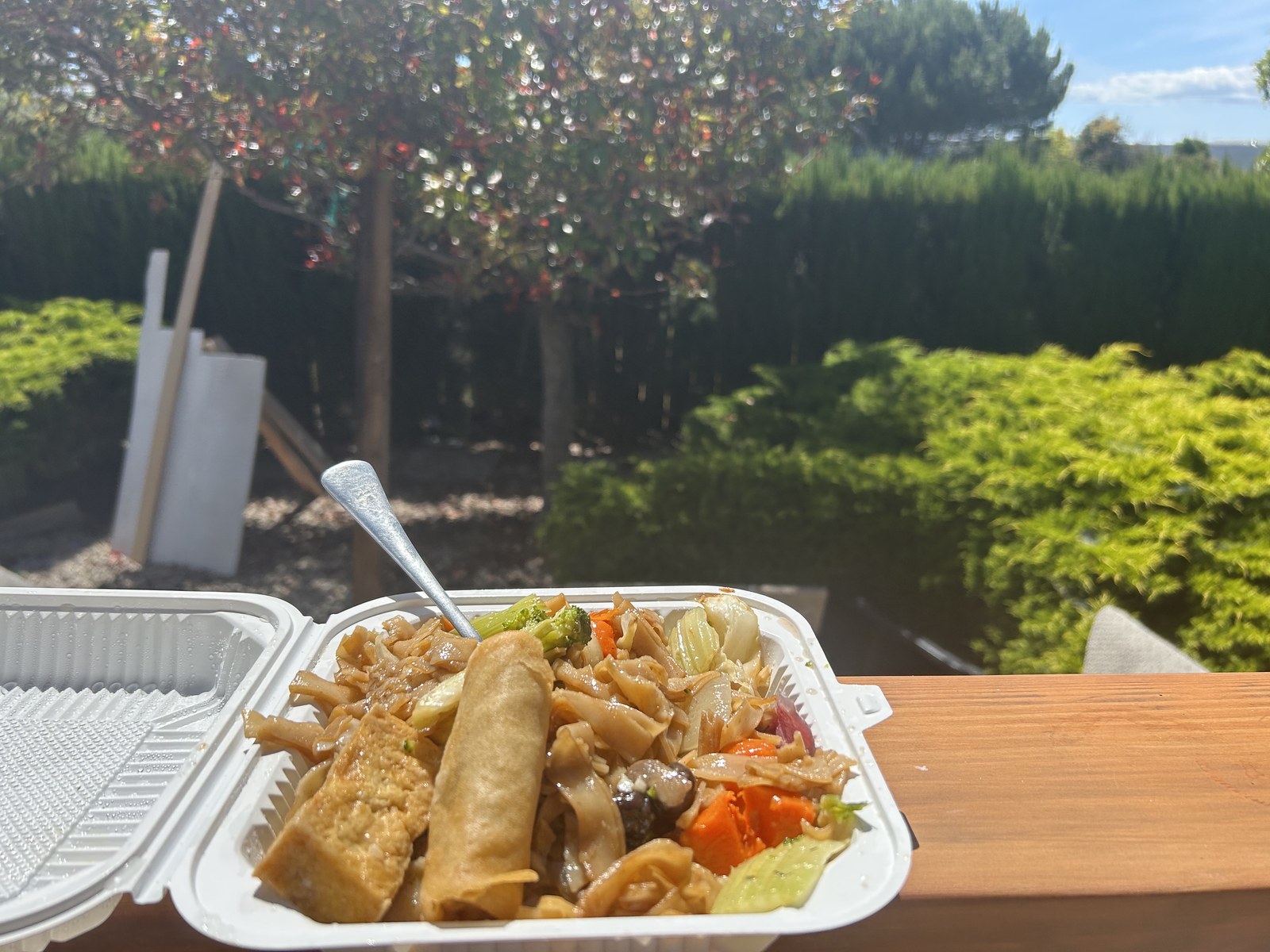 San Diego field meal · pad see ew · potstickers · spring rolls · 2026-04-23
